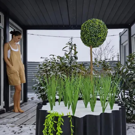 Tiny House شقة *